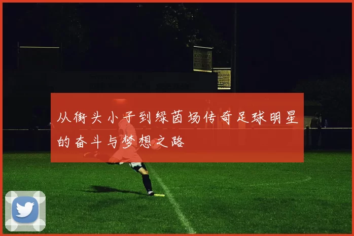 从街头小子到绿茵场传奇足球明星的奋斗与梦想之路