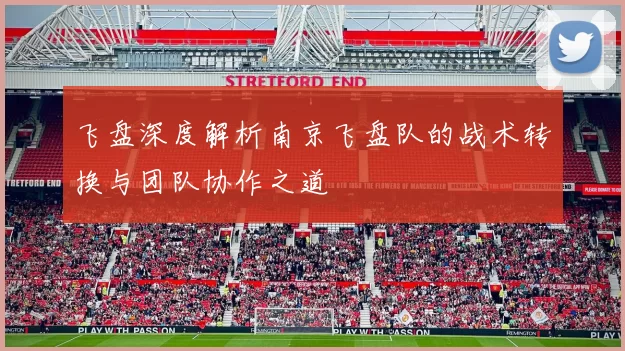 飞盘深度解析南京飞盘队的战术转换与团队协作之道