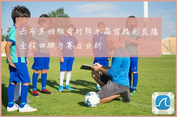 西布罗姆维奇对阵水晶宫精彩直播全程回顾与赛后分析