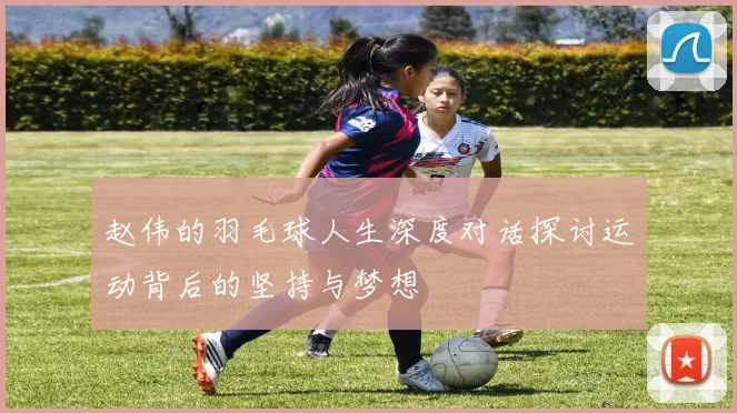 赵伟的羽毛球人生深度对话探讨运动背后的坚持与梦想